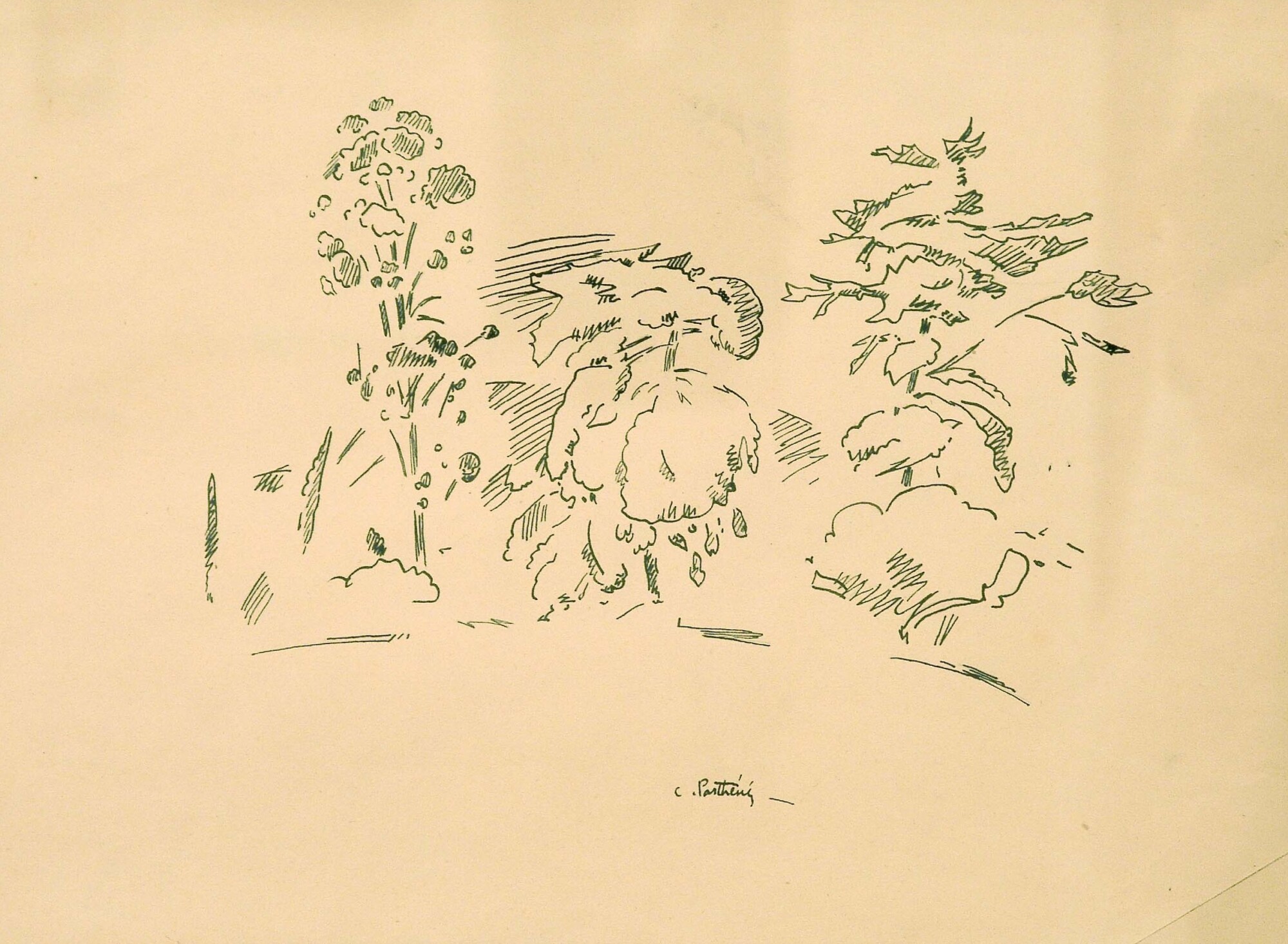 parthenis topio r