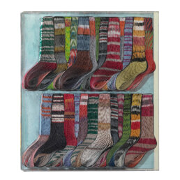 pavlos socks 2007