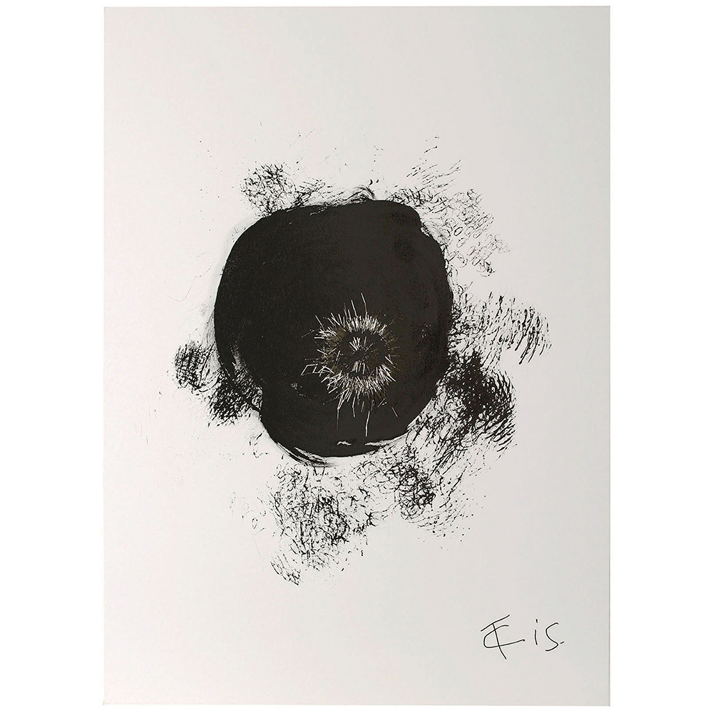 takis black hole no 22 2005